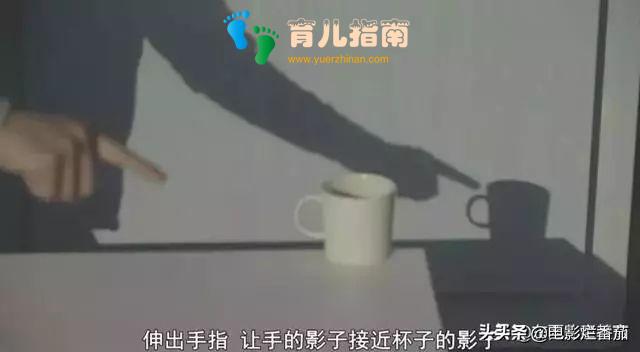 像乌鸦一样思考