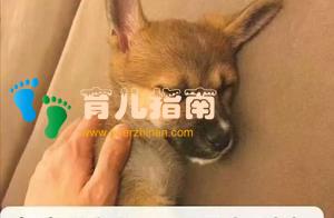 熬夜学习？让孩子先睡吧