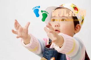 4.做错事要道歉 4.做错事要道歉