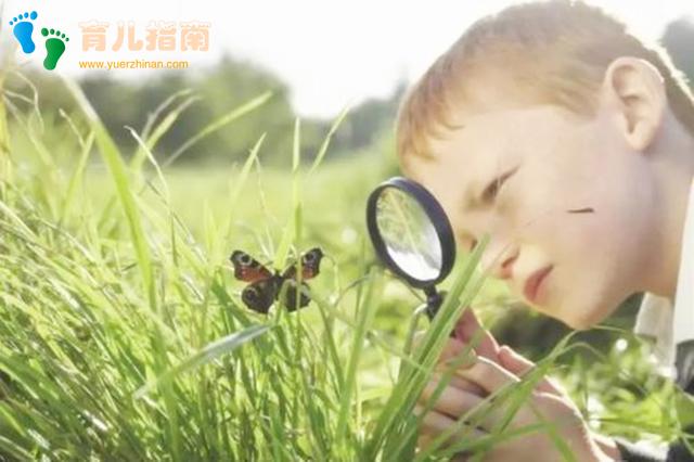 非虚构类 非虚构类