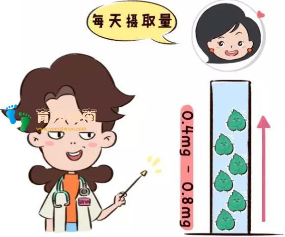 怀孕 怀孕