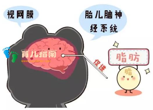 孕期 孕期