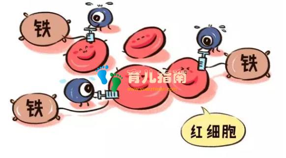 准妈妈 准妈妈