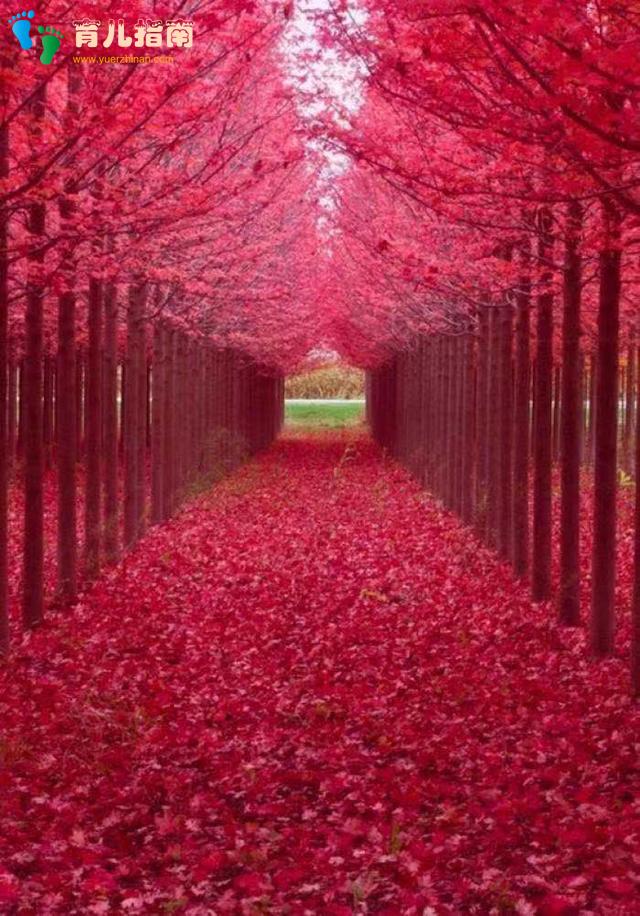 有求必应 有求必应