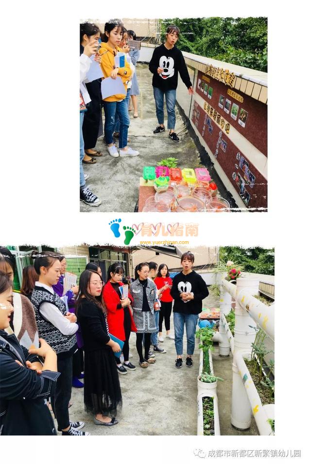 环境创设 环境创设