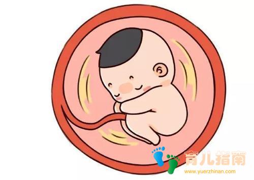 怀孕 怀孕