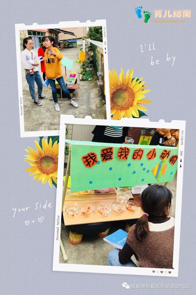 动作技能 动作技能