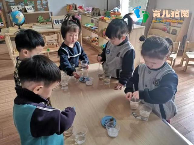 老师 老师
