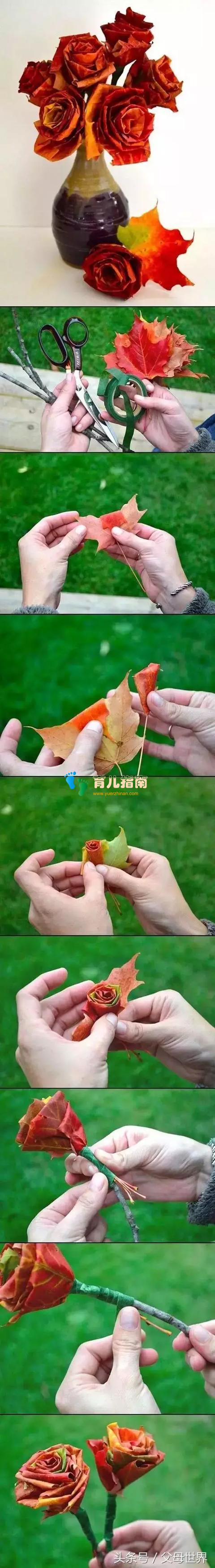 收获 收获
