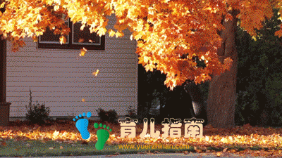 周末和孩子一起把秋日落叶变成艺术品！这满满的创意太惊艳了