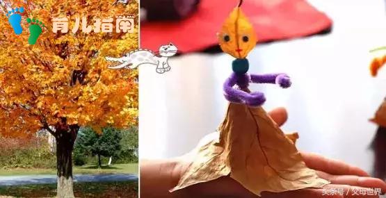 狮子头 狮子头