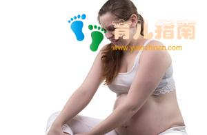 孕妈们，快来get这份孕期补钙宝典吧