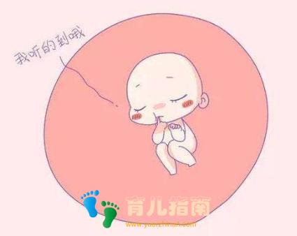 妈妈肚子 妈妈肚子