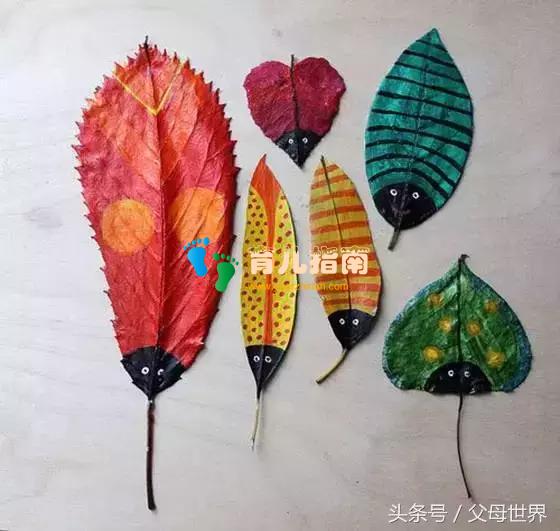 收获 收获