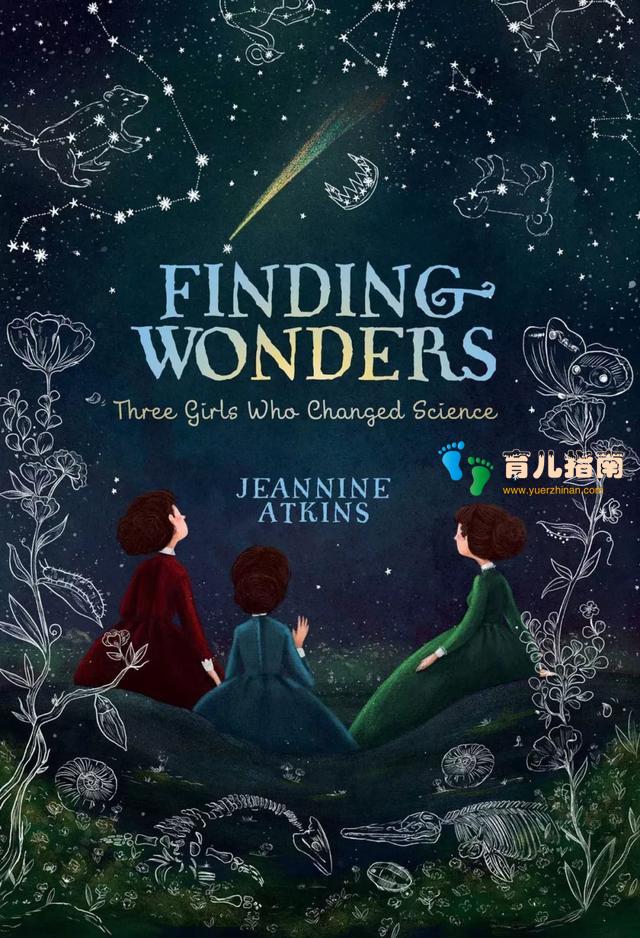 第十四条金鱼 第十四条金鱼