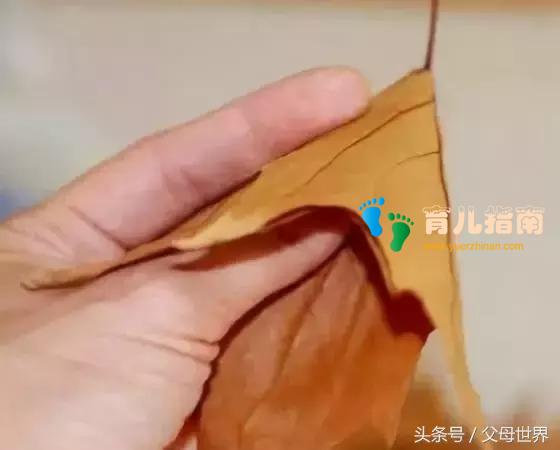 水彩笔 水彩笔