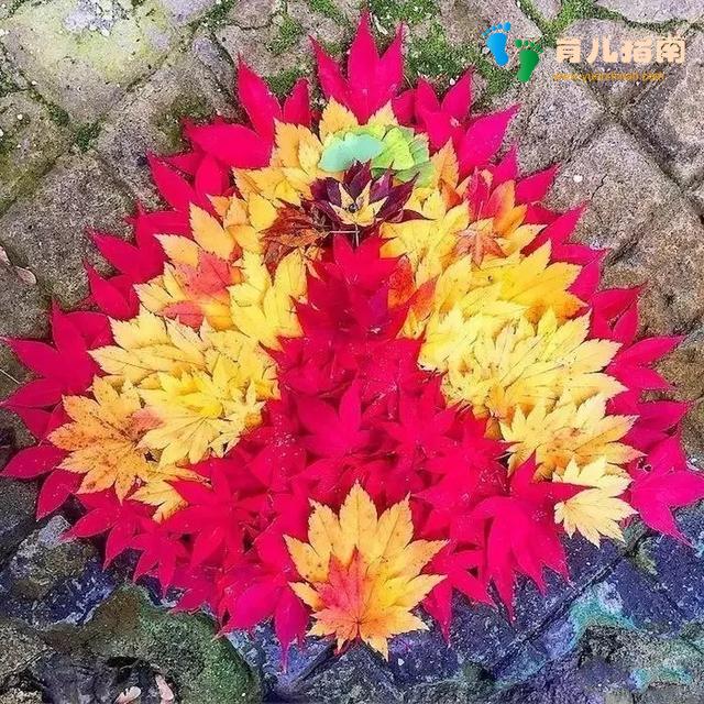 收获 收获