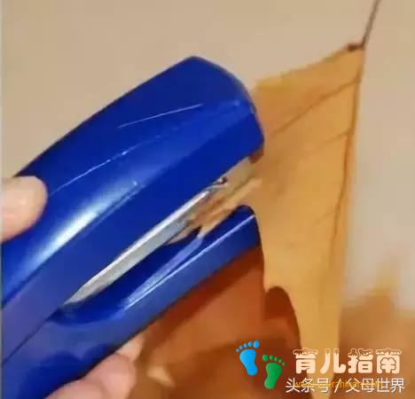 狮子头 狮子头