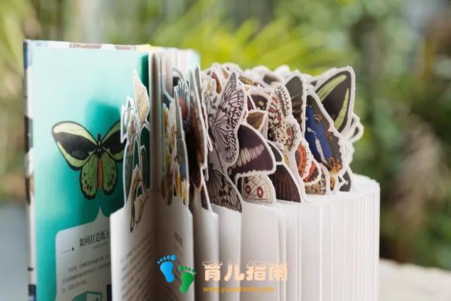 纸上景观 纸上景观