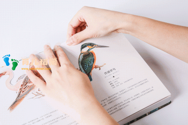 大英图书馆 大英图书馆