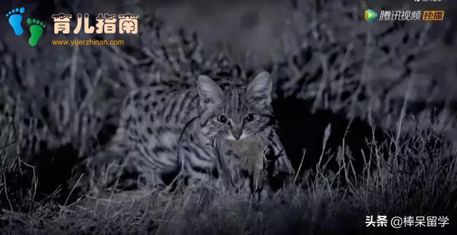 晴峦萧寺图 晴峦萧寺图