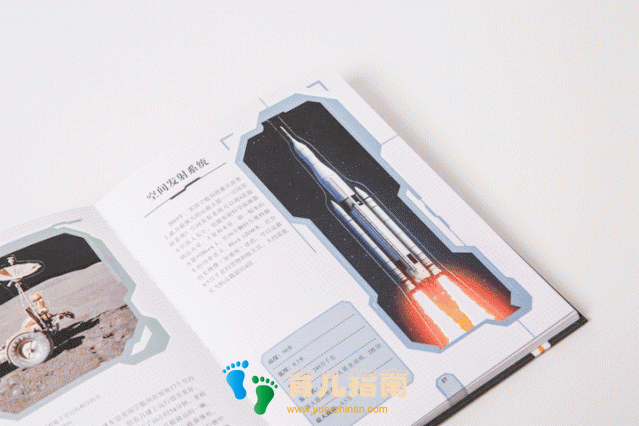 纸上景观:花卉 纸上景观:花卉