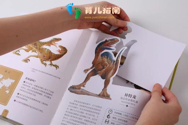 纸上景观:蝴蝶 纸上景观:蝴蝶