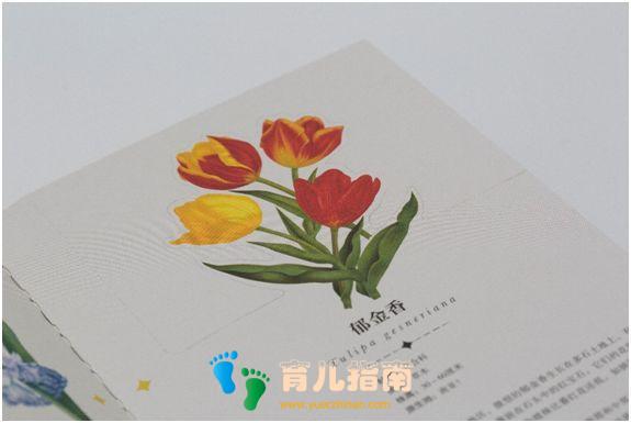 瓦尔登湖 瓦尔登湖