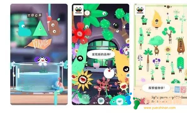 化学元素 化学元素