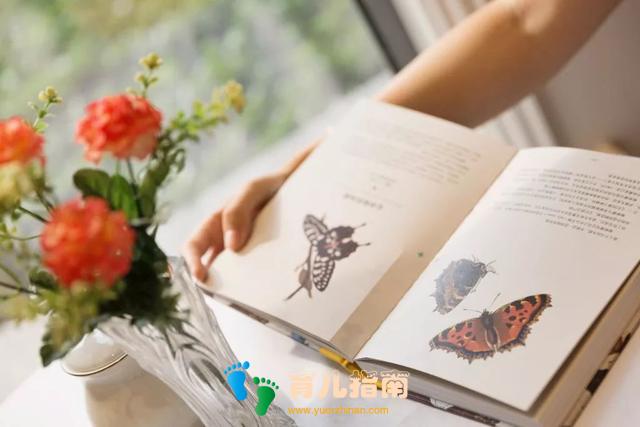 纸上景观:花卉 纸上景观:花卉