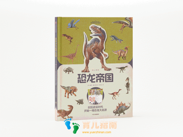 纸上景观:奇异虫子 纸上景观:奇异虫子