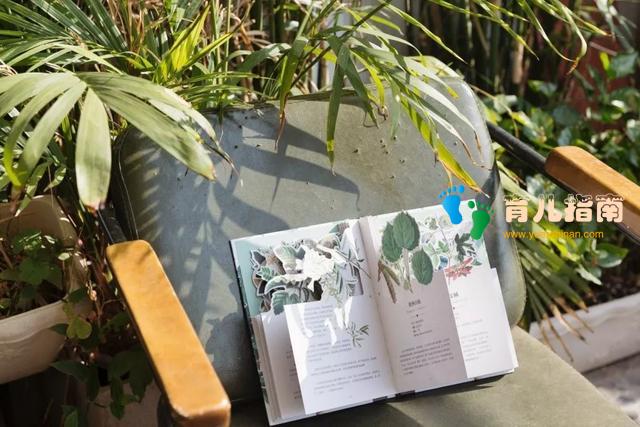 纸上景观:树木 纸上景观:树木