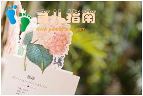 纸上景观:花卉 纸上景观:花卉