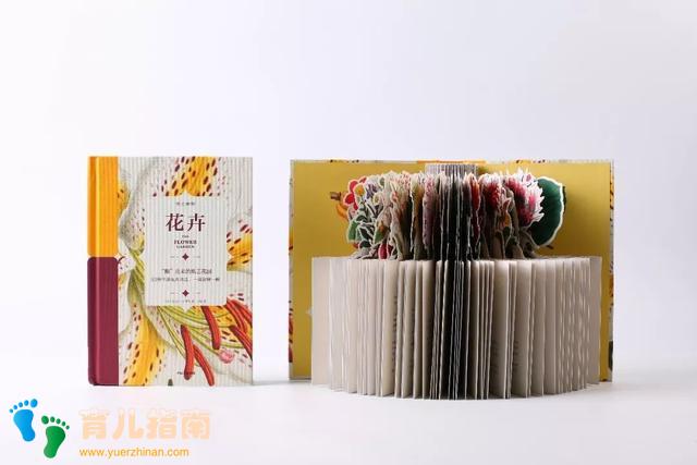 纸上景观:蝴蝶 纸上景观:蝴蝶