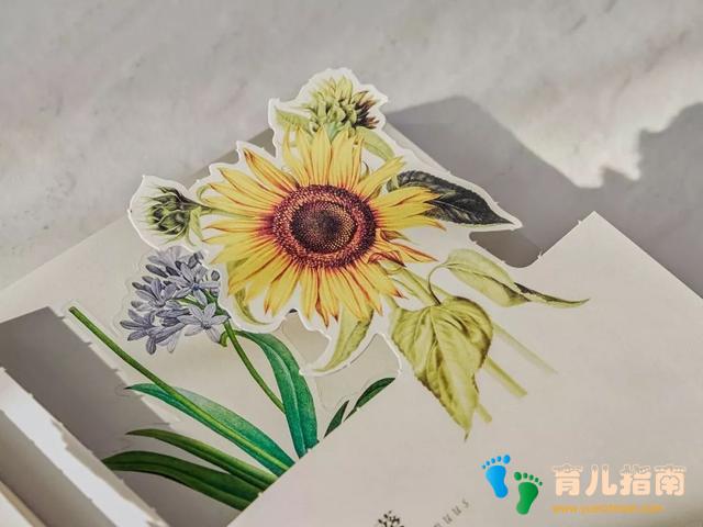 纸上景观 纸上景观