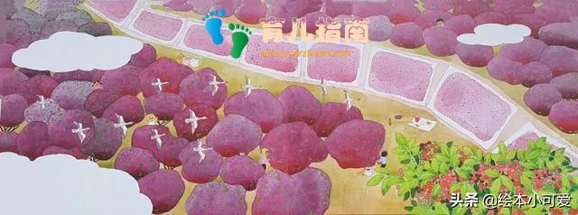 11只灰雁往南飞