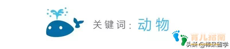 数学的故事 数学的故事