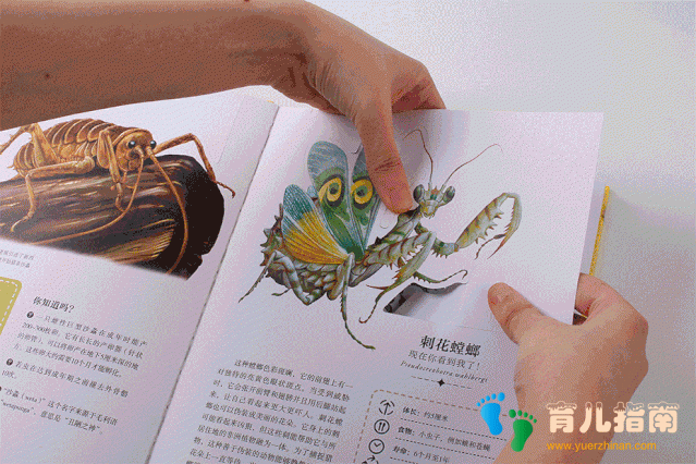 纸上景观:太空漫游 纸上景观:太空漫游