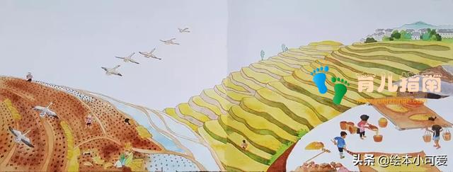 11只灰雁往南飞