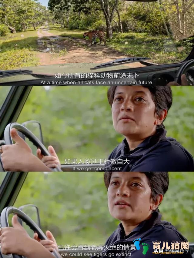 ★ ★ ★ ☆ ★ ★ ★ ☆