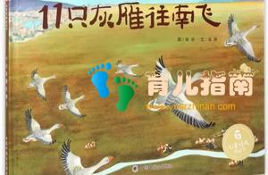 儿童绘本荐读：让孩子认识中国之美—《11只灰雁往南飞》