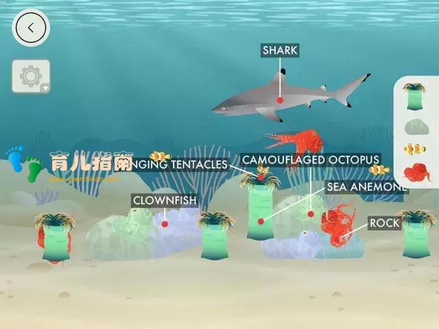 化学元素 化学元素