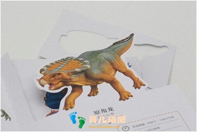 纸上景观:神奇动物 纸上景观:神奇动物