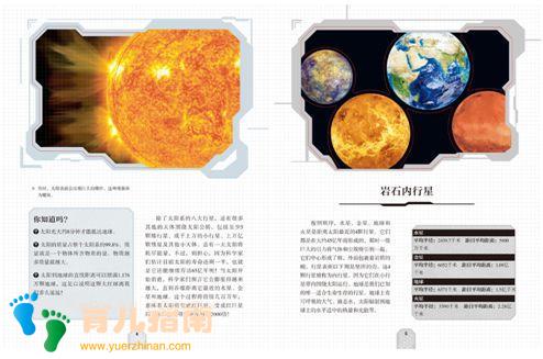 纸上景观:鸟类 纸上景观:鸟类