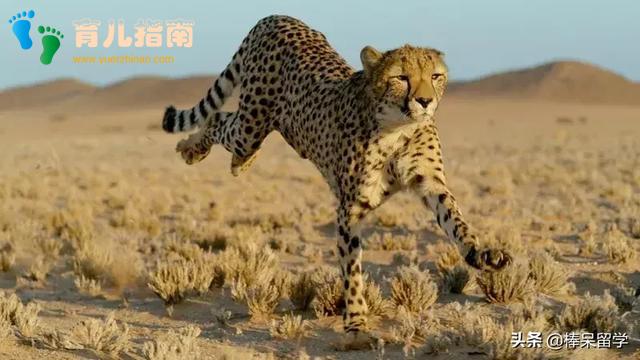 数学的故事 数学的故事