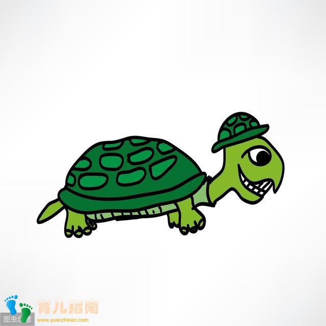 慢性子的孩子采取“龟宝宝”的教育法则