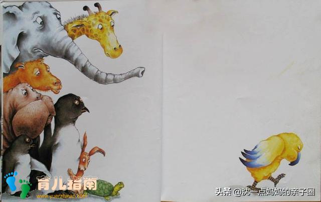 秋秋找妈妈 秋秋找妈妈