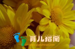 医生和医师 医生和医师