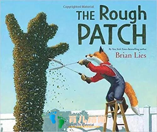 粗糙的补丁 粗糙的补丁