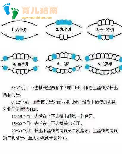 放之任之 放之任之
